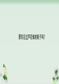 《芦花鞋》完美课件1