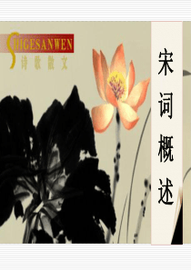 宋词概述