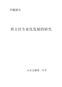 班主任专业化发展