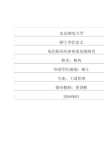 电信娱乐经济体系发展研究