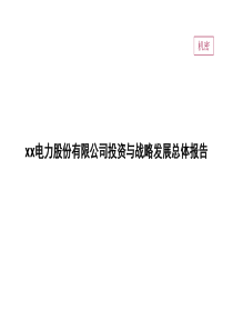 电力公司投资与战略发展总体报告