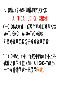 碱基互补配对规律的有关计算