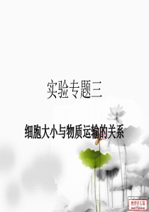 【原创】实验-细胞大小与物质运输的关系