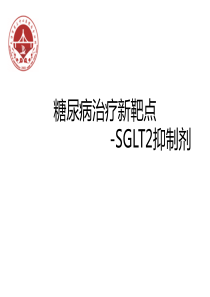 SGLT2类降糖药物