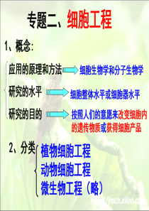 细胞工程复习