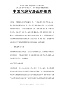 盖其运达咨询====中国名牌发展战略报告.DOC