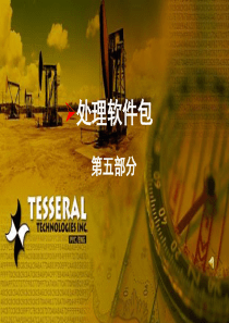 Tesseral-培训讲义6-处理软件包