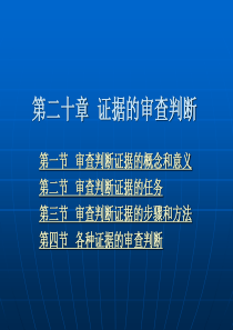 第二十章-证据的审查判断