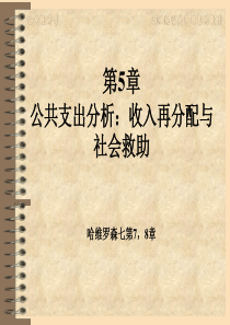 公共经济学第5章收入分配与扶贫计划