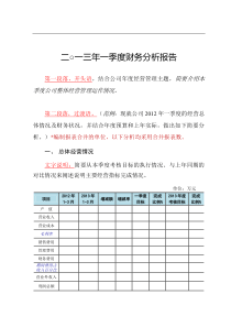 财务分析报告模板93335