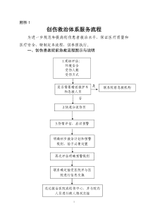 创伤救治体系服务流程