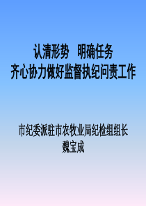 适应新形势新任务新要求-进一步聚焦监督执纪问责提高履职能力