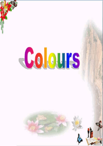 《Colours》PPT