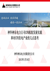 神华神东电力公司CFB机组发展实践和对CFB发电产业的几