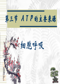 ATP的主要来源──细胞呼吸 课件 3