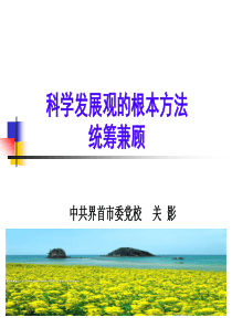 科学发展观的根本方法