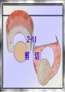 材料力学剪切应力