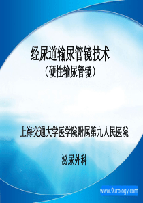 经尿道输尿管镜技术