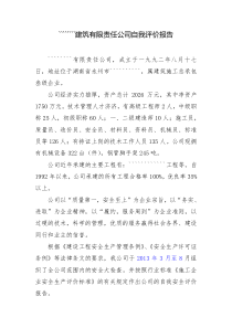 公司自我安全评价报告