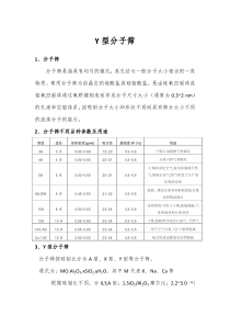 Y型分子筛