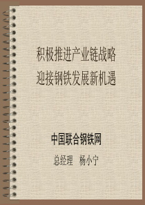 积极推进产业链战略迎接钢铁发展新机遇