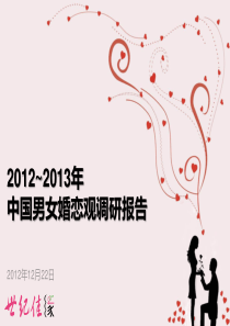 12012-2013中国男女婚恋观调查报告(粉皮书)-20121222