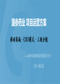 36亳州市国参药业电商运营方案《完整篇》