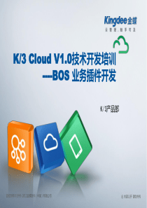 K3 Cloud V1.0 BOS 技术开发培训_插件开发