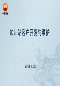 中国石油加油站开发与维护(基础资料)