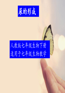 尿的形成微课课件