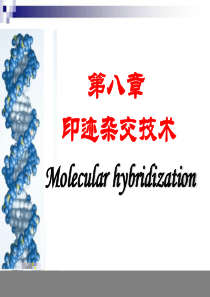 第八章 印迹杂交技术