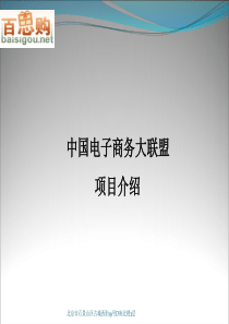 中国电子商务大联盟项目详细介绍(1)1