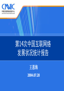 第14次中国互联网络发展状况统计报告(1)