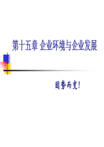 第15章企业环境与企业发展ppt-第十五章企业环境与企业