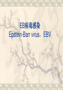 36EB病毒