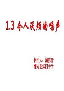 1.3 令人厌烦的噪声课件