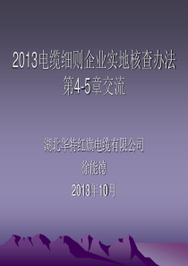 XXXX电缆细则企业实地核查办法4-5章交流