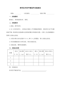 探究杠杆的平衡条件实验报告