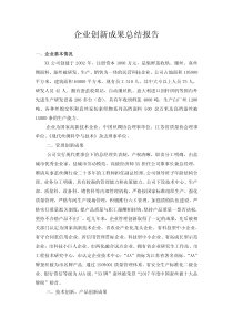 企业创新成果总结报告