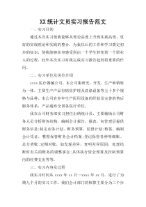 XX统计文员实习报告范文