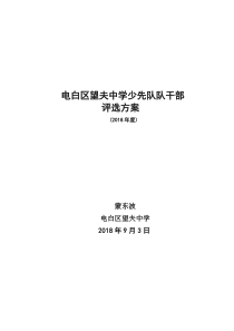 2018少先队组织建设方案