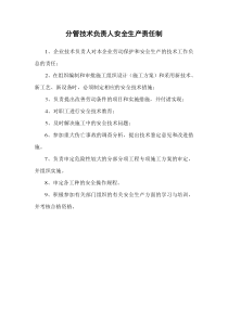 分管技术负责人安全生产责任制