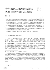 青年农民工的城市适应_实践社会学研究的发现