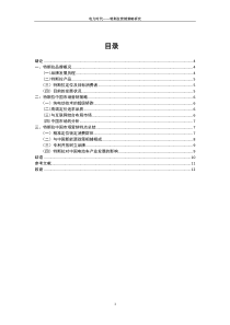 电力时代——特斯拉营销策略研究