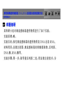 系列实验20探究病毒遗传物质是DNARNA还是蛋白质的思路方法(精)