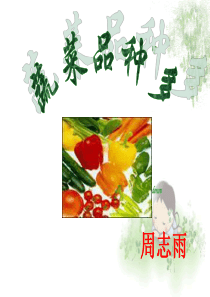 蔬菜品种多分析