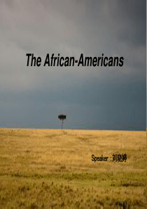 African-Americans-非洲裔美国人