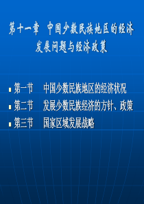 第十章___中国少数民族地区的经济发展