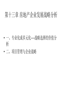 第十三章 房地产企业发展战略与策略