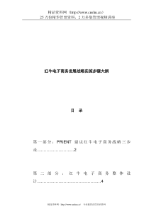 红牛电子商务发展战略实施步骤